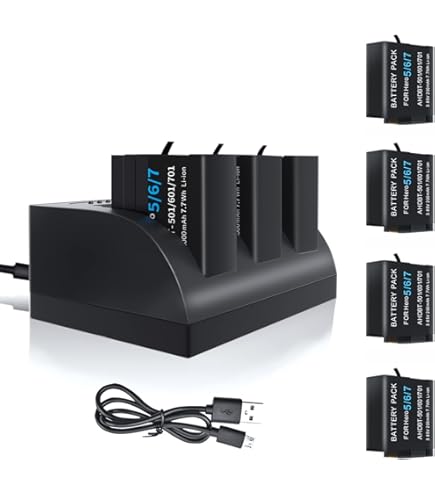 Amazon.com: eCostConnection Replacement Battery for Go Pro